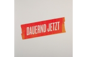 Schallplatte Herbert Grönemeyer - Dauernd Jetzt (Vertigo) im Test, Bild 1