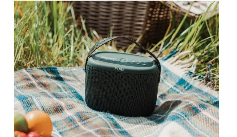 DAB+ Radio Pure Evoke Woodland im Test, Bild 1